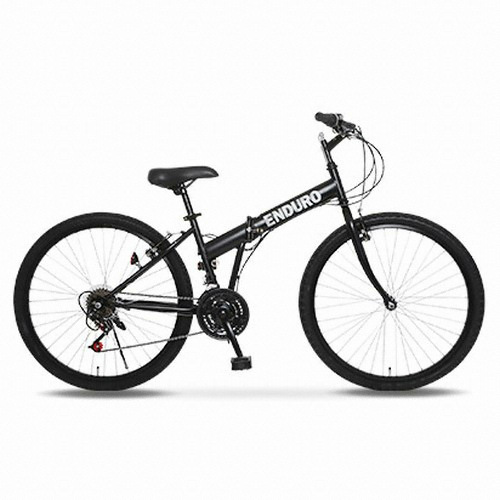 바이맥스 엔듀로_이미지