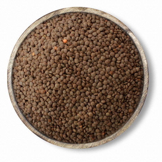 인차 렌틸콩 1kg (1개)