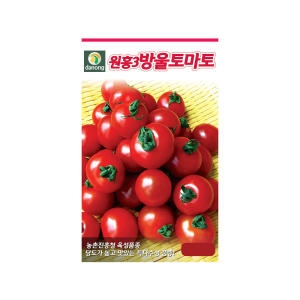 다농 원홍3호방울토마토씨앗 (50립)
