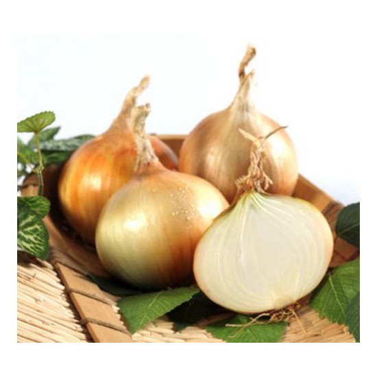 국내산 햇 양파 소/장아찌용 3kg (1개)_이미지