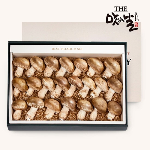 맛있는날 무농약 참송화버섯 프리미엄 선물세트 23~26개 1kg