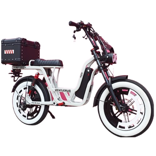 세임바이크 벤틀러스 MP1000 48V20AH (48V, 20Ah)_이미지