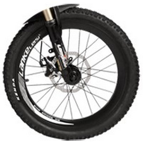 랑케레이시 XT750 기본휠 DUAL 해외구매 (48V, 10Ah)_이미지