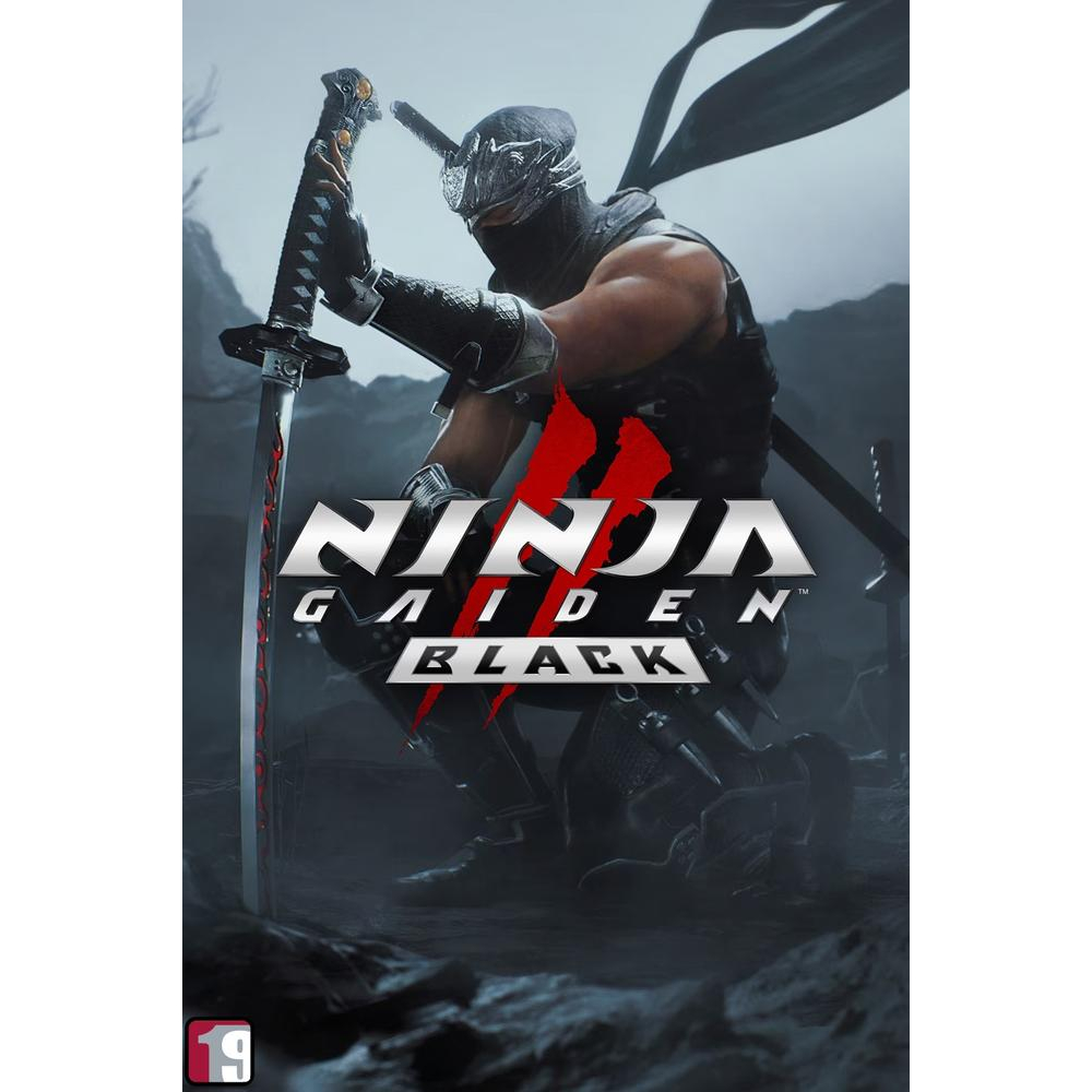  닌자 가이덴 2 블랙 pc PC, 스팀코드