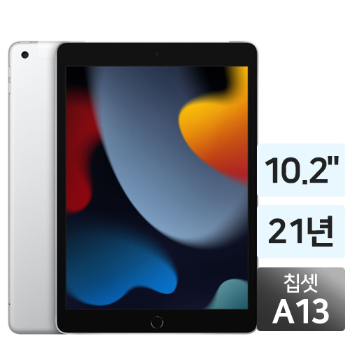 APPLE 2021 iPad 9세대 Cellular (256GB)_이미지