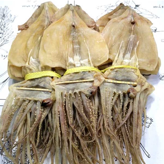 동해안 건 오징어 한축 20개(마리) 1kg (1개)_이미지