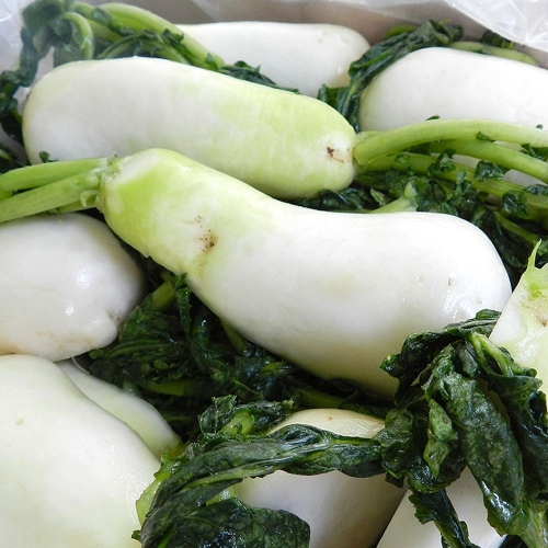 다농이네 3중세척 깨끗한 알타리 무 절임 3.5kg (1개)_이미지