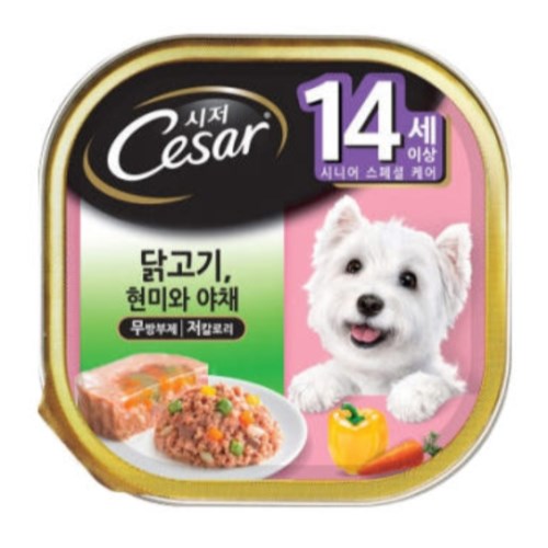 �ѱ����� ���� 14���̻� �߰���� ��ä ĵ 100g