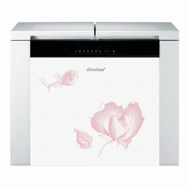 위니아 딤채 DEP-220DS