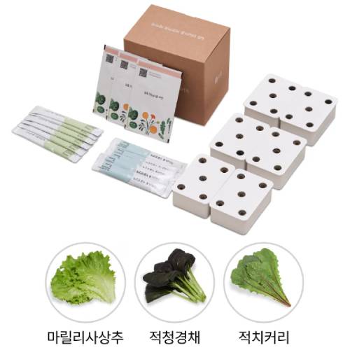 LG전자 틔운 씨앗키트 패키지 푸릇한 패키지 D_이미지