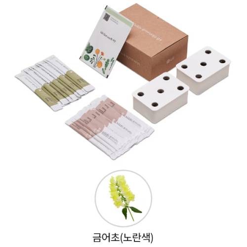 LG전자 틔운 미니 씨앗키트 패키지 금어초 노란색