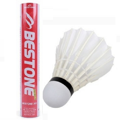 BESTONE 301