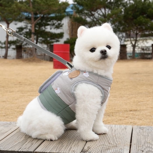 패리스독 큐트덕 패딩 하네스 그레이이미지입니다. 누르면 해당 게시물로 새창이동합니다.