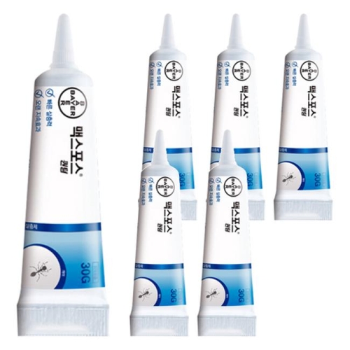 바이엘 맥스포스 퀀텀 30g (6개)