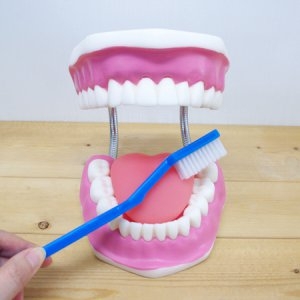 ���̻��̾� ��ü ġ�� ���� 15cm  ��ü��������/ġ�Ƹ���/ġ��  ��ü ġ�� ���� 15cm  ��ü��������/ġ�Ƹ���/ġ��