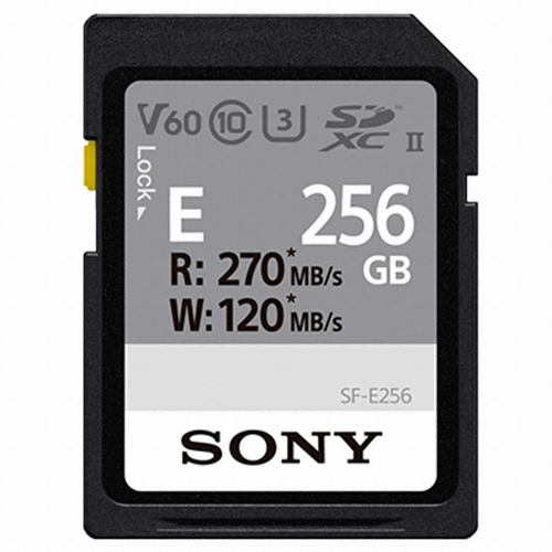 SONY SD E시리즈 2020 (256GB)