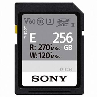 SONY SD E시리즈 2020