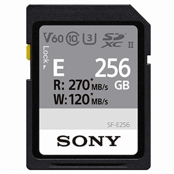SONY SD E시리즈 2020