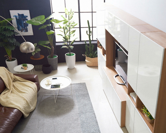 �������� �������� ���÷��� �Ž��� 2400