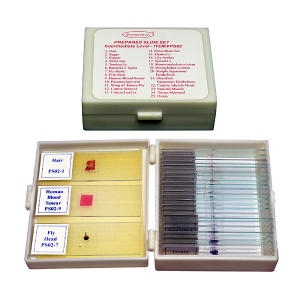 �����Ķ�Ʈ �߱� /���̰������ ǥ����Ʈ/JS-46223