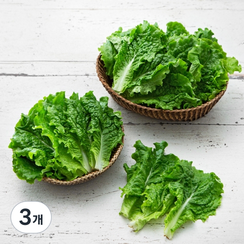 곰곰 청상추 200g (3개)_이미지