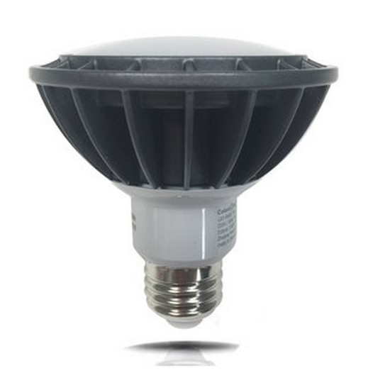 LED PAR30 확산형 할로겐전구 주광색 15W