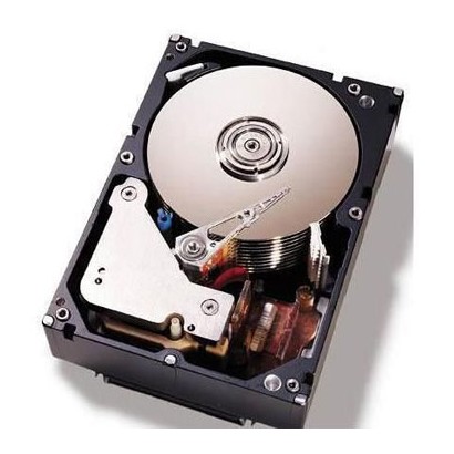 IBM 750GB 43W7580 (SATA2/7200)