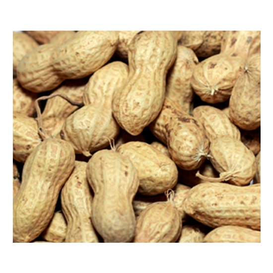 볶은 피땅콩 10kg