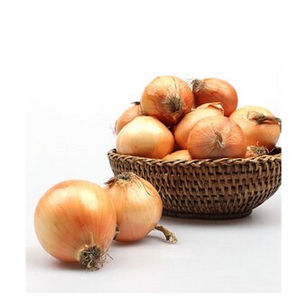 우리가락 <b>양파</b> 대 15kg
