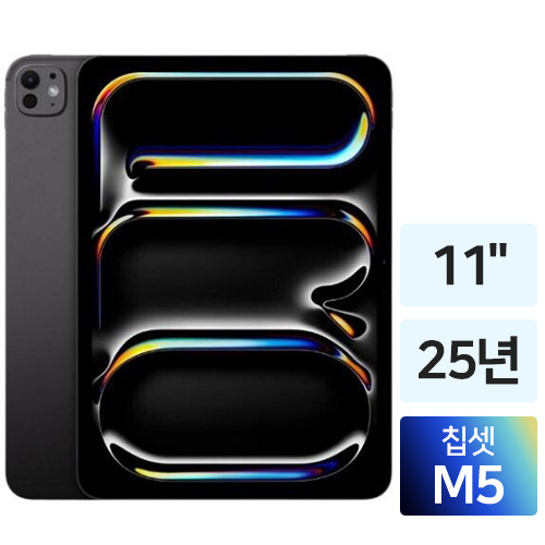 APPLE 2025 iPad Pro 11 M5 (나노텍스처 글래스,1TB)