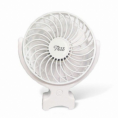 �׽� TESS-S430 ��ư��