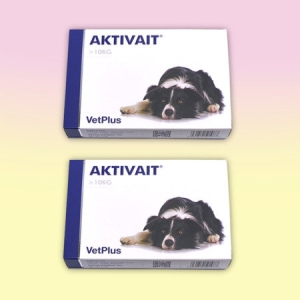 벳플러스 액티베이트 중대형견용 항산화제 60p (2개)