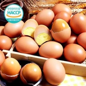 Ǫ���� HACCP �ʶ� ������ 60��