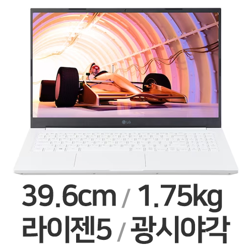 LG전자 2022 울트라PC 15UD40Q-GX5DK (SSD 256GB)