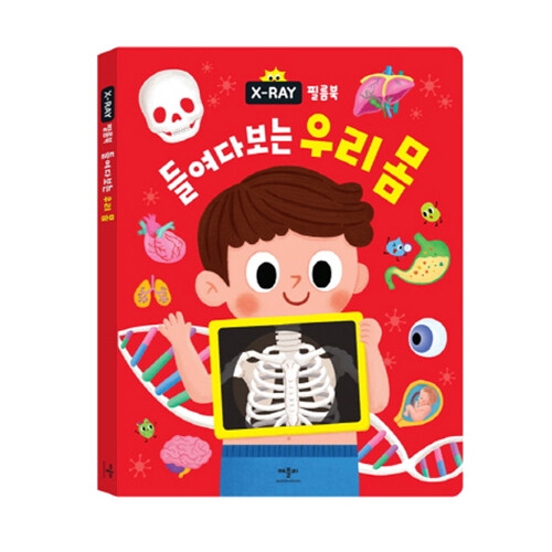 애플비 X-RAY 필름북 들여다보는 우리 몸_이미지