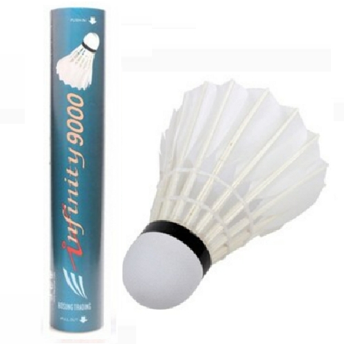 인피니티 9000 셔틀콕이미지입니다. 누르면 해당 게시물로 새창이동합니다.