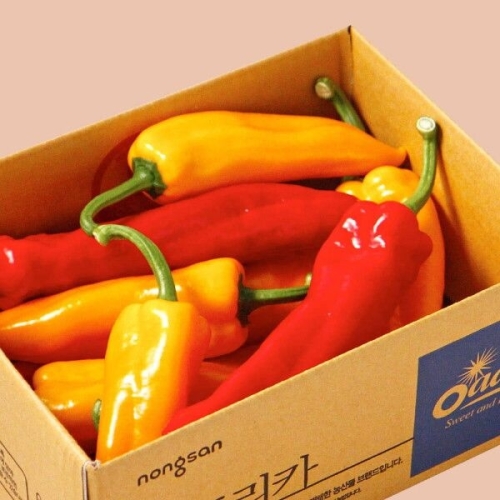 우체국쇼핑 산지별미 오아로파프리카 고당도 트리벨리 파프리카 1.2kg