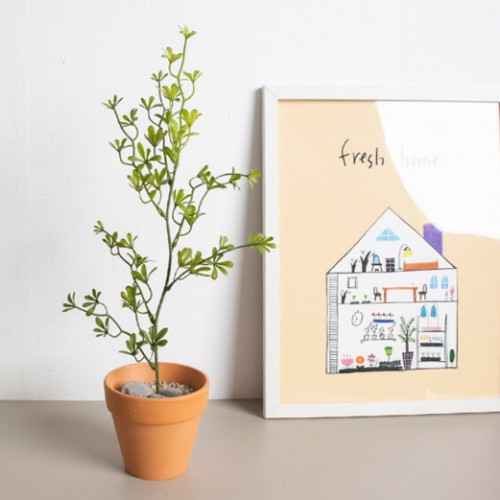 플라워트리  세네시오 대형화분 세트 50cm DIY