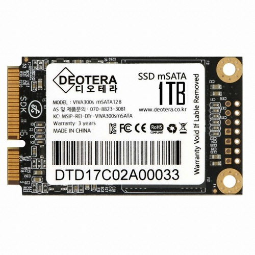 디오테라 VIVA 300S LITE mSATA (1TB)