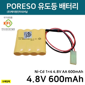 ���̿� ��������͸� 4.8V 600mAh / ���͸� / �嵥��