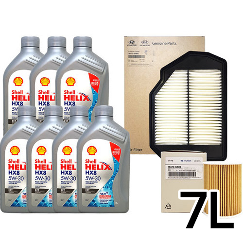 �� ������ HX8 ECT 5W30 + �������� ���׽ý�G80 ���ָ�