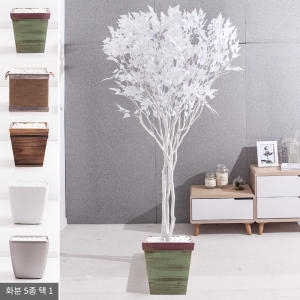 플라워트리 라인-화이트자작나무화분set 210cm  조화  FREOFT이미지입니다. 누르면 해당 게시물로 새창이동합니다.
