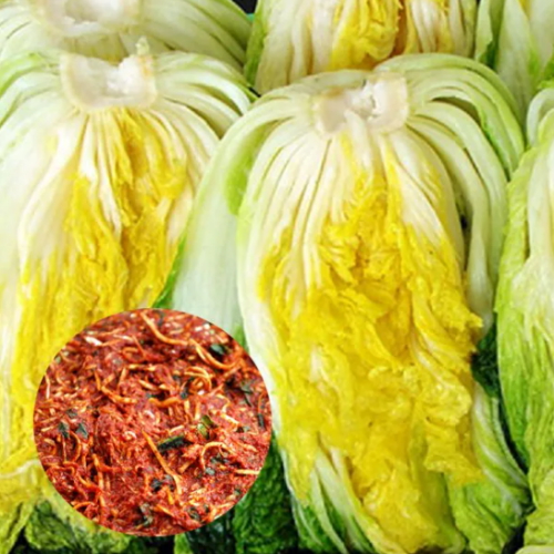 st푸른농원 괴산절임배추 10kg + 양념 4kg (1개)_이미지