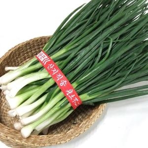 산정마을 깐쪽파 1단 1kg