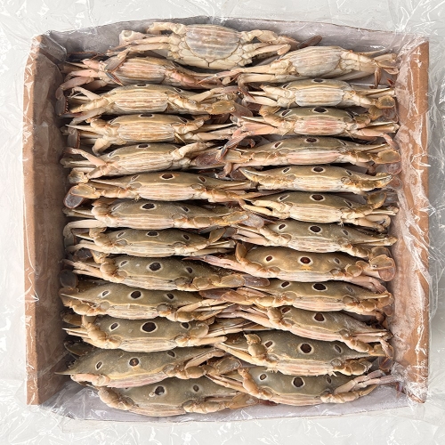 힘찬푸드 냉동 삼점게 100/150 숫게 암게 23마리 전후 간장게장용 숫게100/150 3kg (1개)_이미지