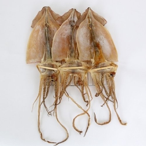 후레쉬앤푸드 건어물 마른 안주 간식 마른 오징어 5미 370g 이상_이미지