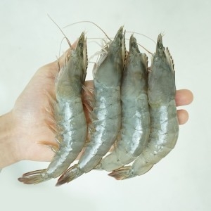 흰다리새우 대하 새우 소금구이 철