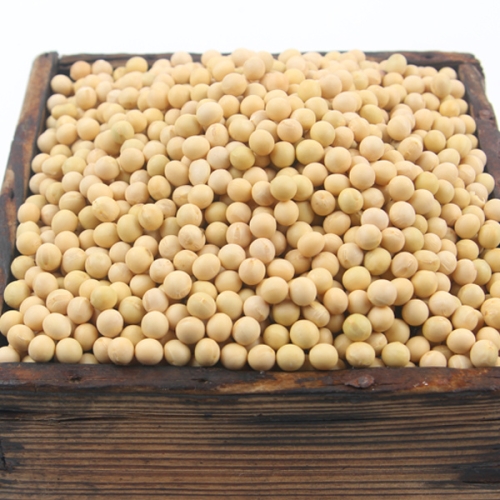 백태 메주콩 4kg