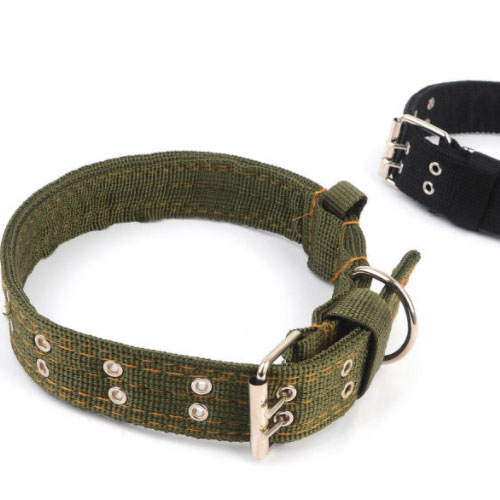 [불명] 대형견용 벨트타입 애견 목줄