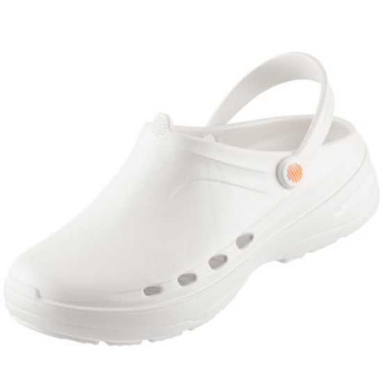 ��ũ ���̶���Ʈ